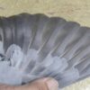 22-889848 公：圖片 3