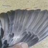 23-190884 母：圖片 3