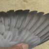 19-008657 公：圖片 3