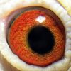 23-000566 公：圖片 2