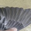 23-166337 母：圖片 3