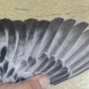 23-759810 母：圖片 3