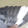 24-787897 母：圖片 3