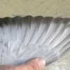 24-555193 母：圖片 3