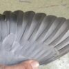 24-777019 公：圖片 3